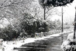 26日朝の燕三条に降る雪