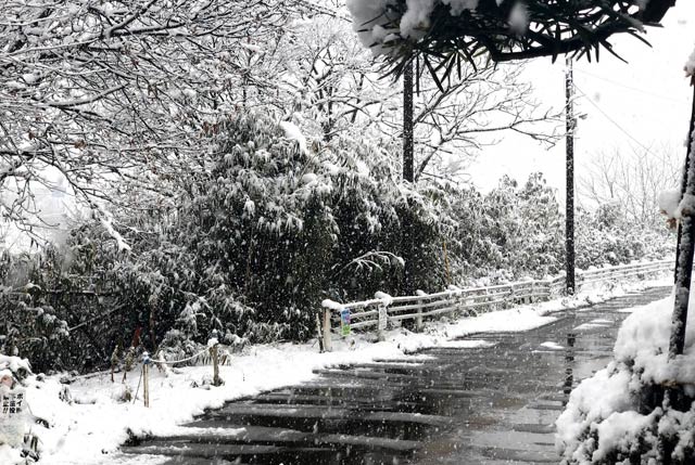 26日朝の燕三条に降る雪