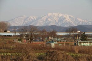 春一番の強風が収まって穏やかな陽気