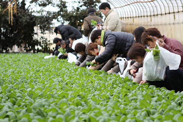 昨年の内山農園での朝カフェのようす