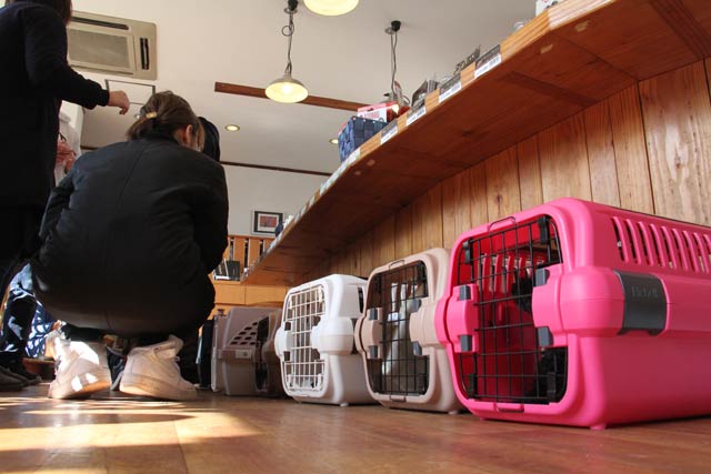 犬幸村で行われた「ワンコの避難訓練」