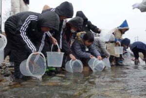 五十嵐川にサケの稚魚を放流する長沢小3、4年生