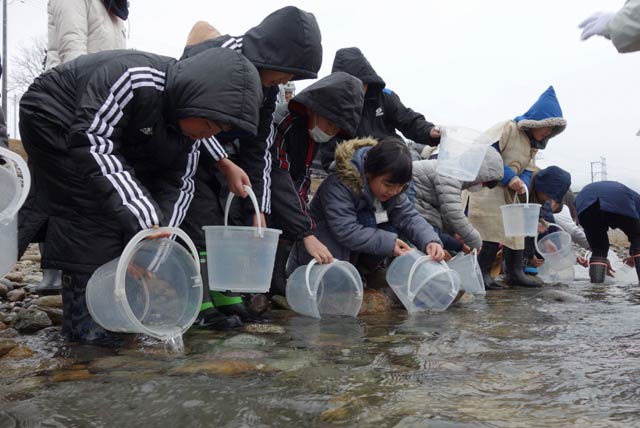五十嵐川にサケの稚魚を放流する長沢小3、4年生
