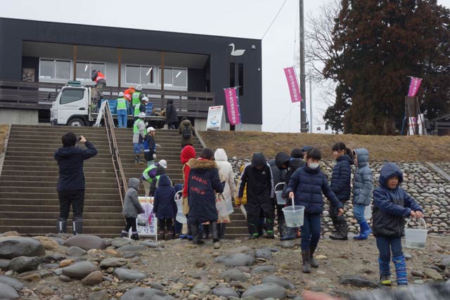 稚魚をバケツリレーの要領で川岸まで運ぶ