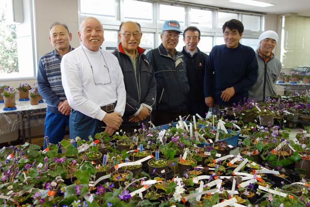 2019年の三条雪割草寿会の雪割草展示会