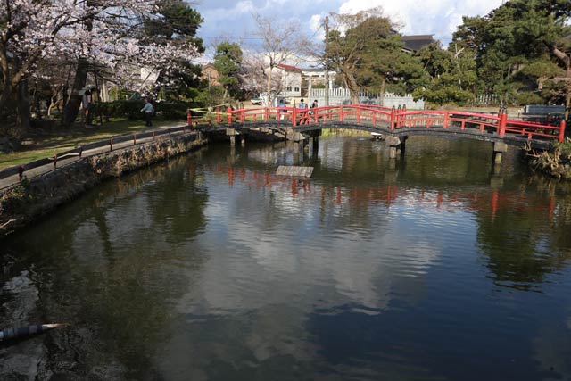 水を全部抜いて清掃と生き物調査を行う八幡宮の弁天池