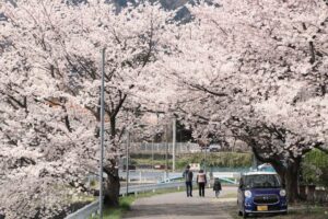 5月中旬並みのことし最高21.0度
