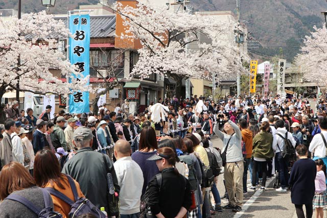 沿道は満開のサクラ