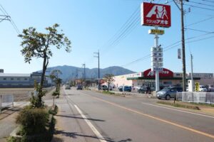 弥彦で車がはねた歩行者が死亡