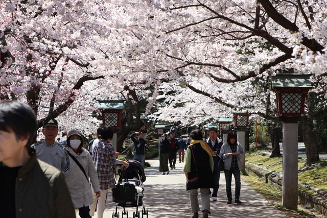 外苑坂通りから弥彦公園への入り口