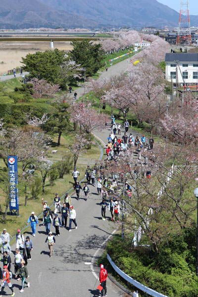 信濃川大河津史料館から見るウォーキング