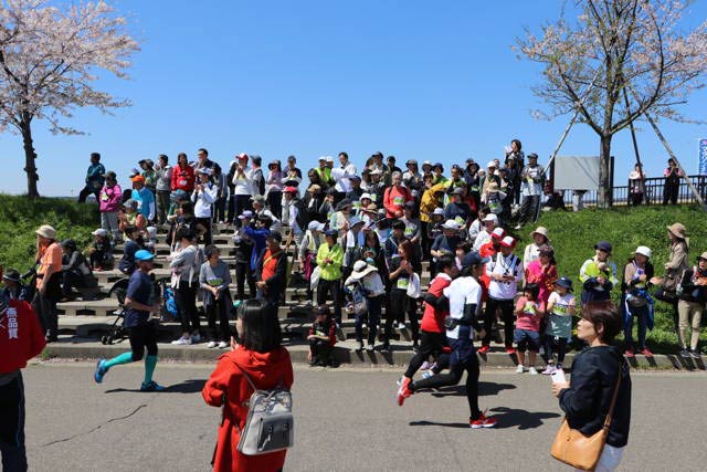 ハーフマラソンのランナーを応援