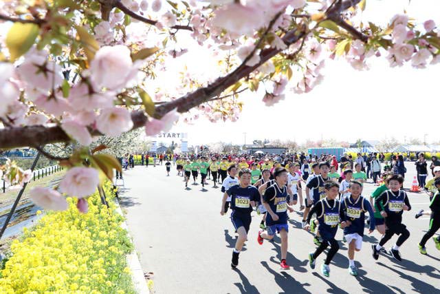3kmのスタート