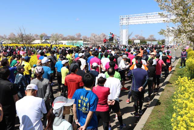 10kmのスタート前