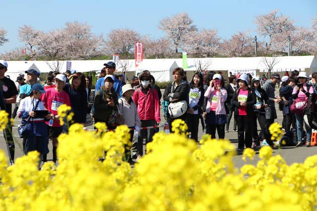 10kmのスタート前