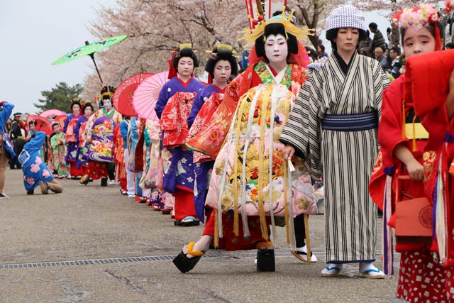 大河津分水路の桜土手を進む分水おいらん道中