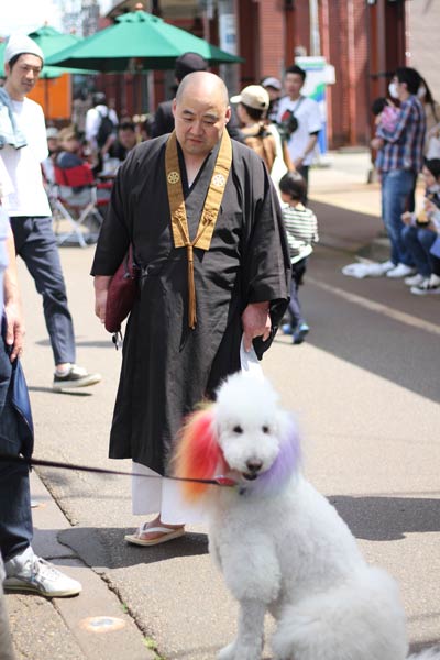 不思議な組み合わせ