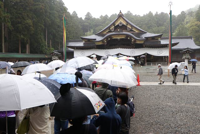 弥彦神社拝殿から延びる行列