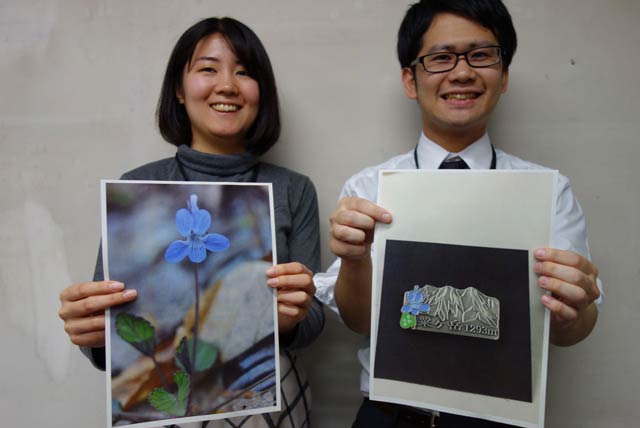 アワガタケスミレと山バッジ