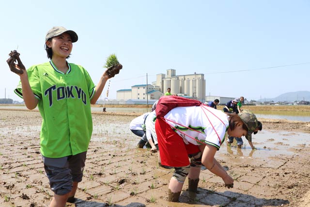 スワローズ・ライスファームで田植え