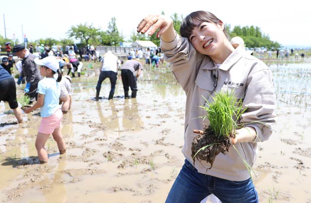 「田んぼアート」の田植えにゲスト参加した朝倉あきさん