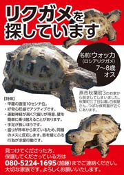 ちらしも作成して協力を呼びかけている