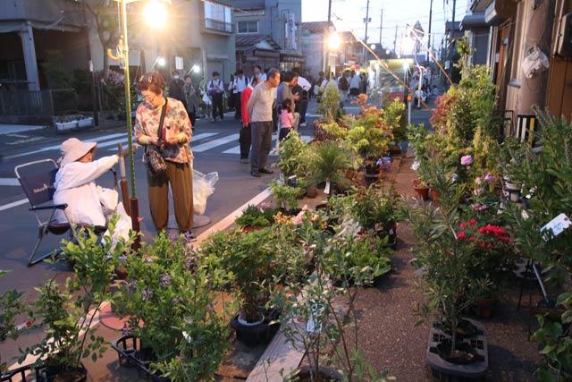数は少ないが植木の露店も健在