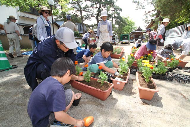 八幡宮境内でプランターに花の苗を植える