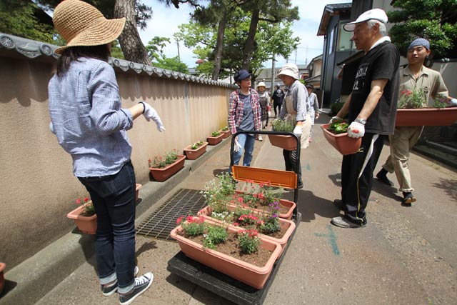 苗を植えたプランターを森下通りに並べる