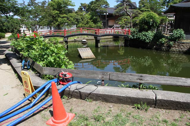 池の水を抜いている八幡宮公園の弁天池