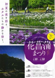 花菖蒲まつりのちらし