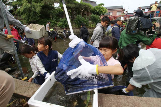 八幡宮の弁天池で行われた池の水ぜんぶ抜く