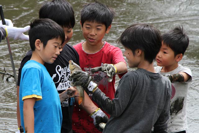 泥だけになって生き物を追った