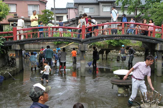 泥の中を歩き回って生き物をゲット