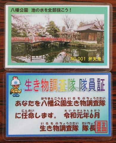 参加者に配布した八幡公園生き物調査隊の隊員証