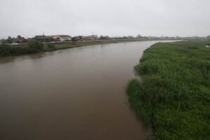 新潟県燕市の燕橋から中ノ口川下流方向を撮影（6月30日11:37）