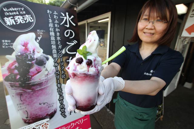 この夏も道の駅「良寛の里わしま」が販売開始した「氷のごちそう」