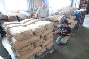 「越路早生」の新米品質検査