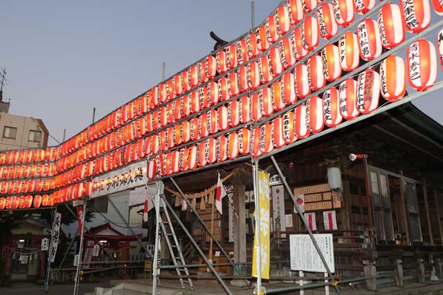 戸隠神社秋季大祭で拝殿前に設置された226の奉納ちょうちん