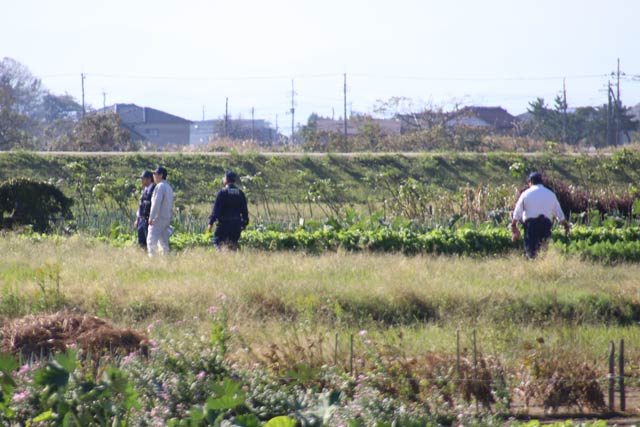 イノシシを追う燕署員