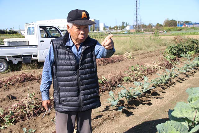 軽トラックに乗っていてイノシシと鉢合わせした男性