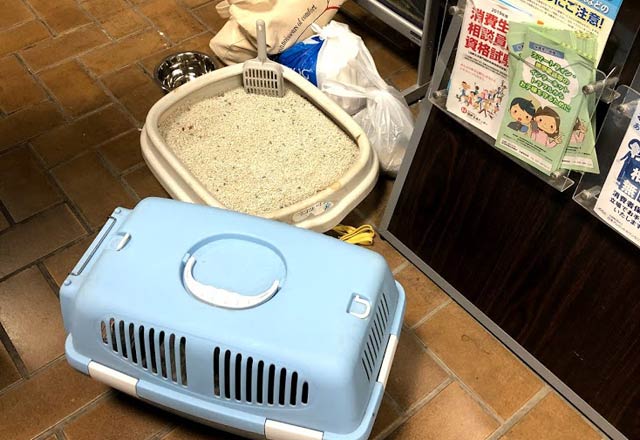 13日午後7時12分、分水公民館に避難していたケージに入れたネコ