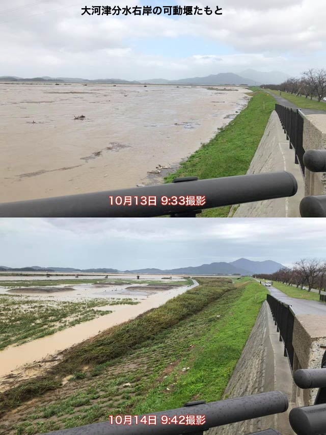 大河津分水右岸の可動堰たもとから下流側を撮影した13日と14日の写真