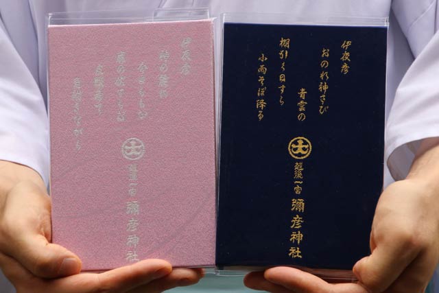 2種類それぞれの裏表紙