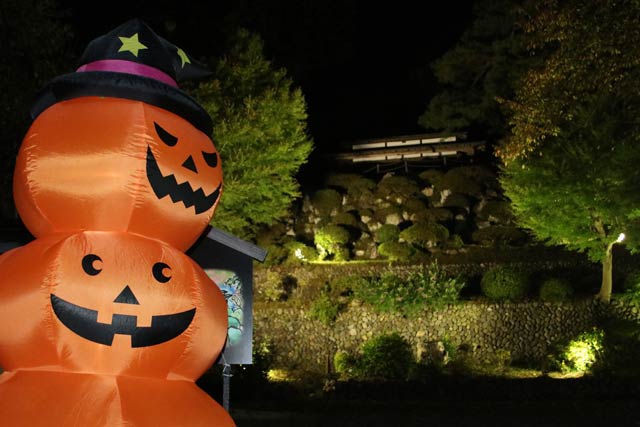 楽山苑で初めての秋の紅葉ライトアップ