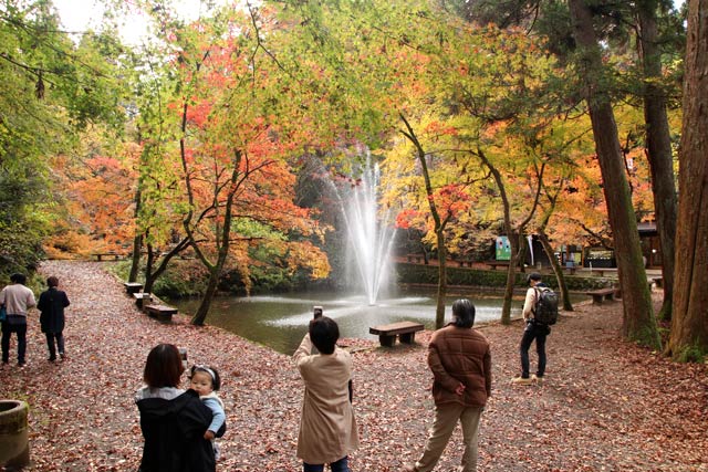 加茂山公園・池之端の紅葉