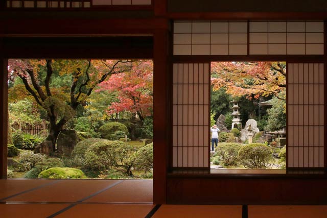 建物から見る主庭は絵画のよう