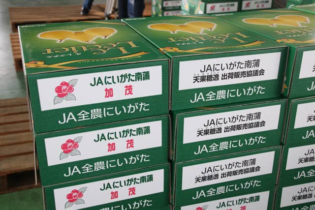左が古い加茂の箱、右が新しい天果糖逸出荷販売協議会の箱