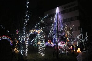 ことしも県央研究所を彩るクリスマス・イルミネーション