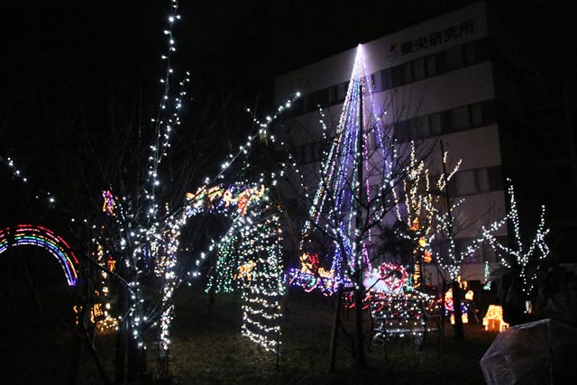 ことしも県央研究所を彩るクリスマス・イルミネーション